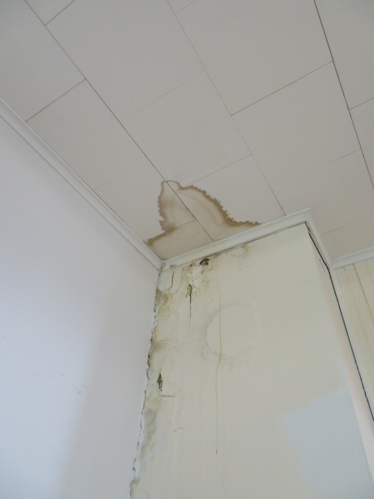 ceiling water damage